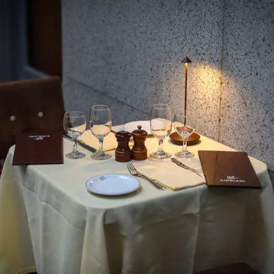 Modern Cordless LED Table Lamp with Dimmable Rechargeable Lighting for Indoor and Outdoor Use
