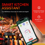 Wireless Meat Thermometer with Bluetooth Connectivity and Accurate Temperature Monitoring