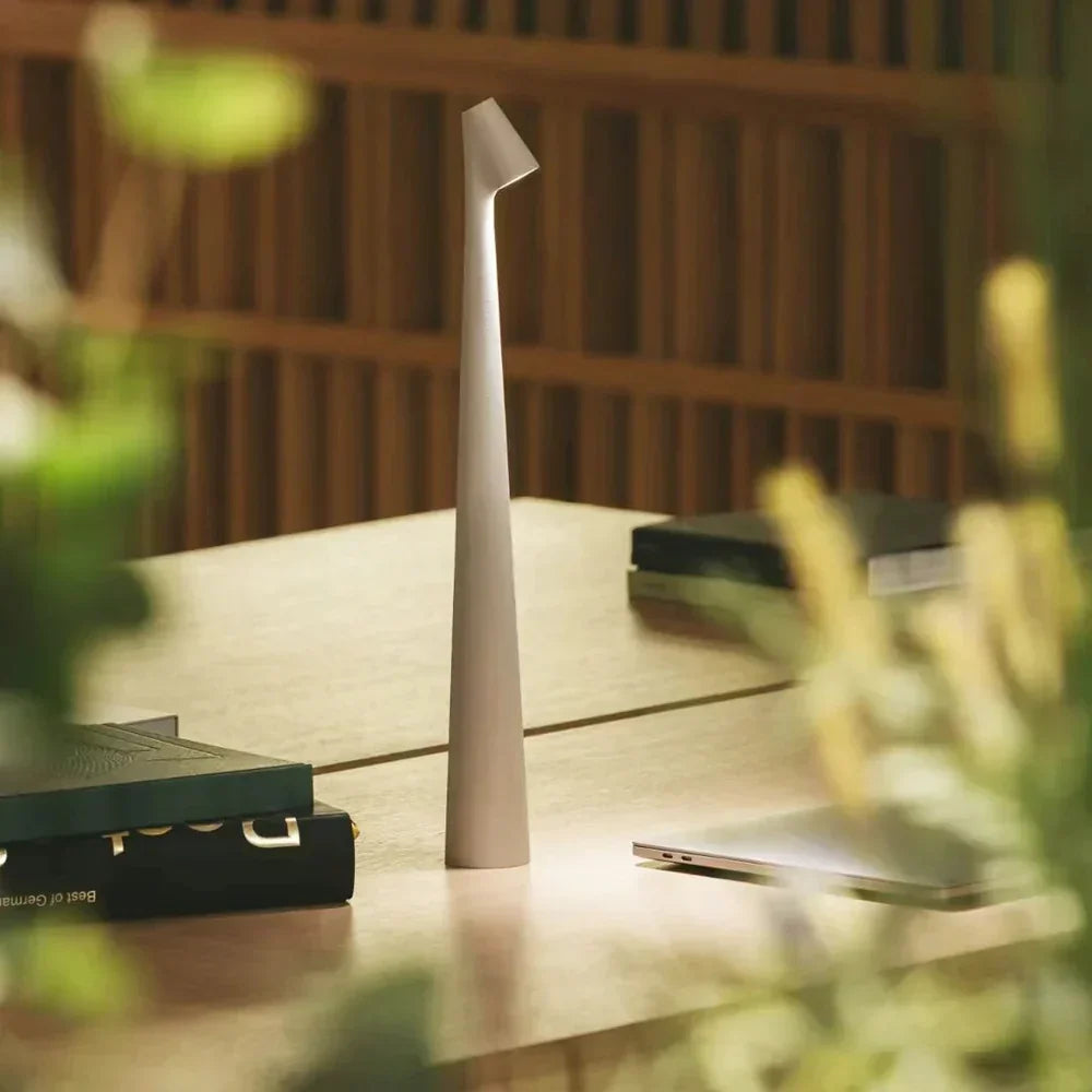 Modern Rechargeable LED Table Lamp with Adjustable Reading Light for Bedside and Desk