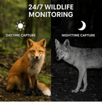 Outdoor Wildlife Trail Camera with Night Vision and Fast Trigger Speed - Sofitte